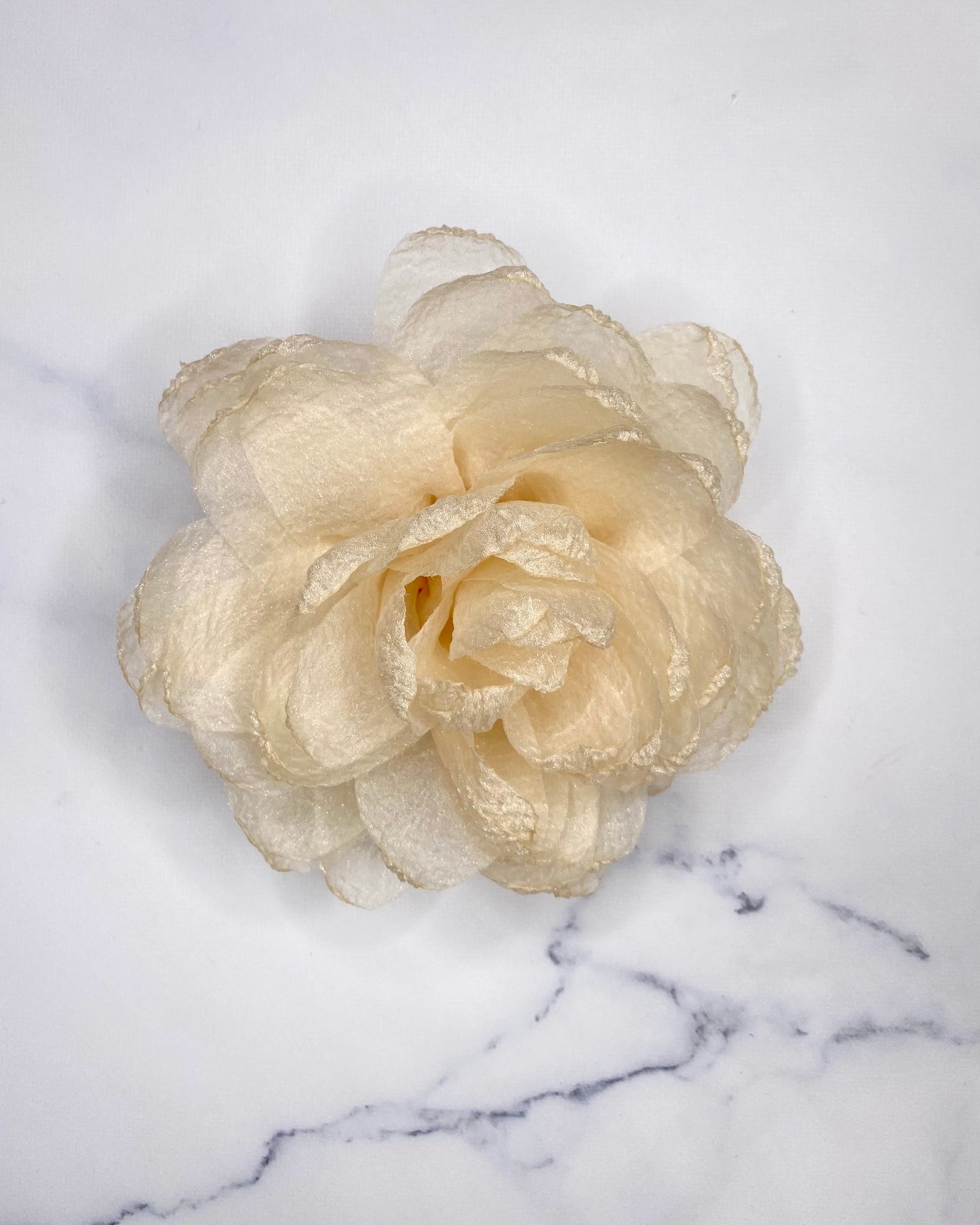 SPILLA CAMELIA