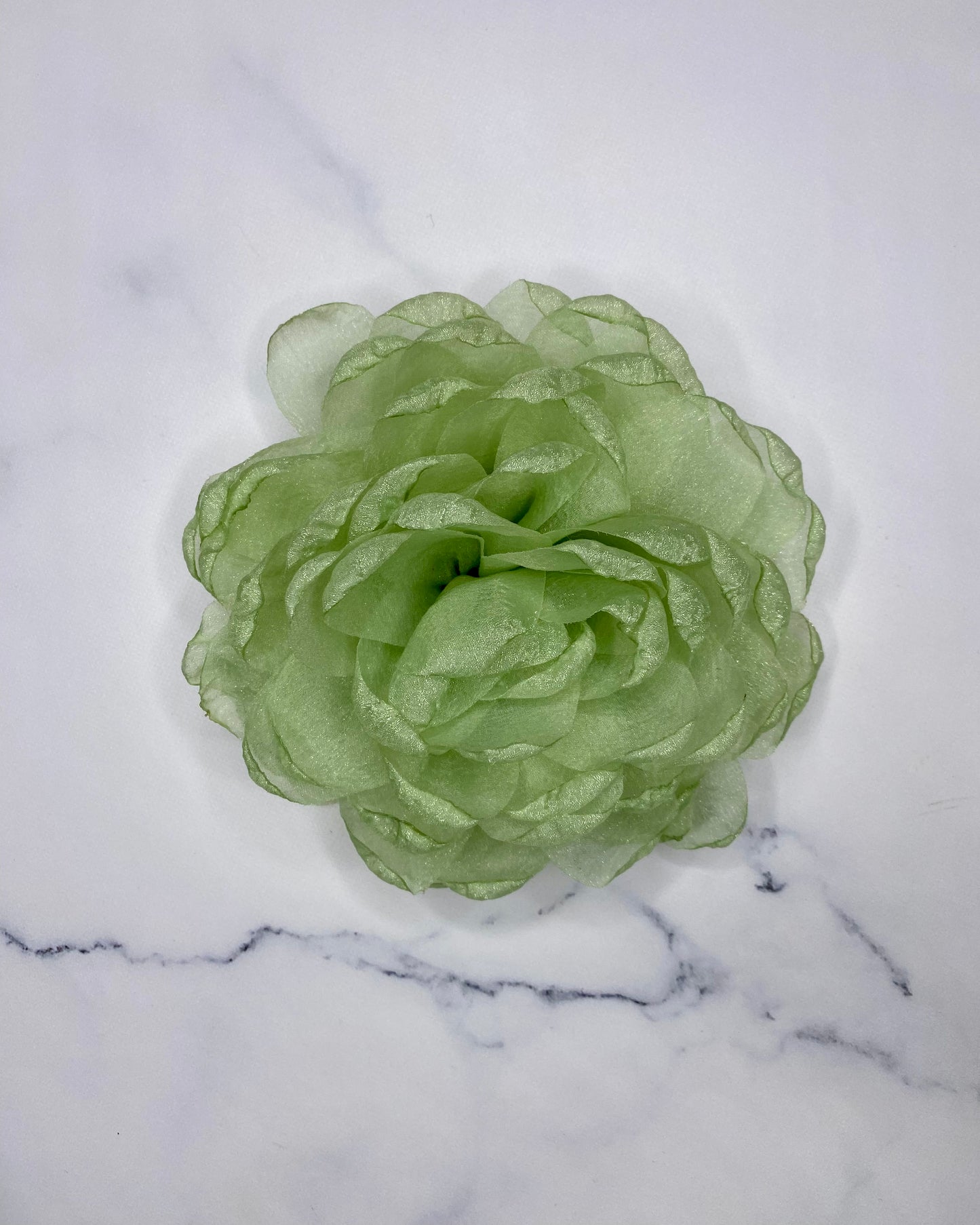 SPILLA CAMELIA