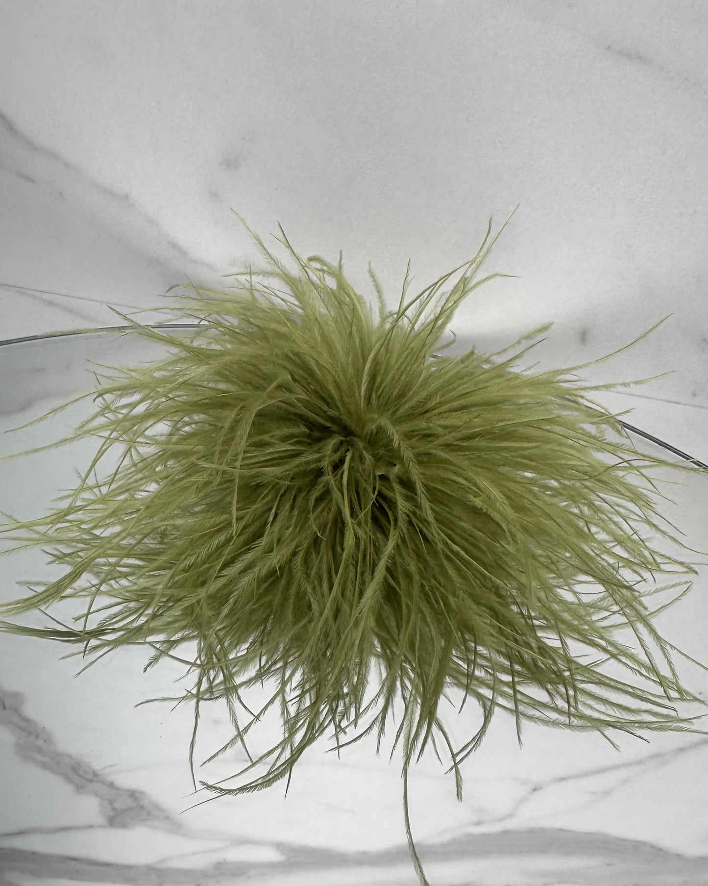 SPILLA PLUMAGE