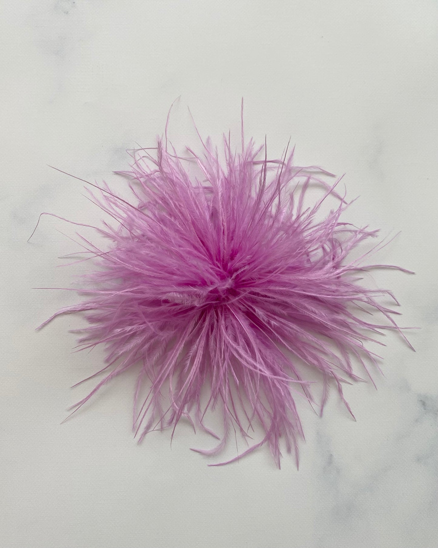 SPILLA PLUMAGE