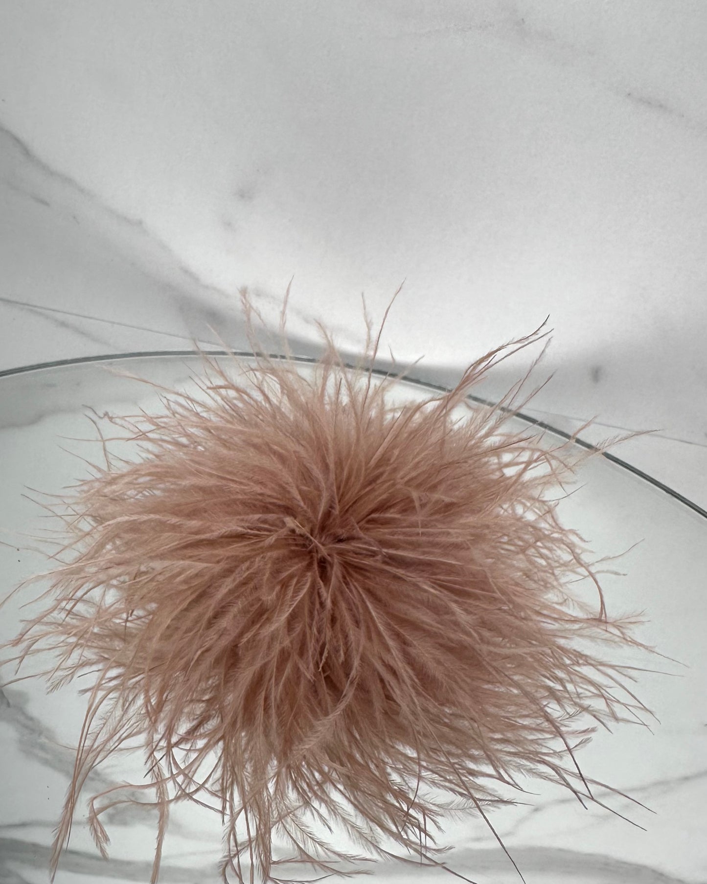 SPILLA PLUMAGE