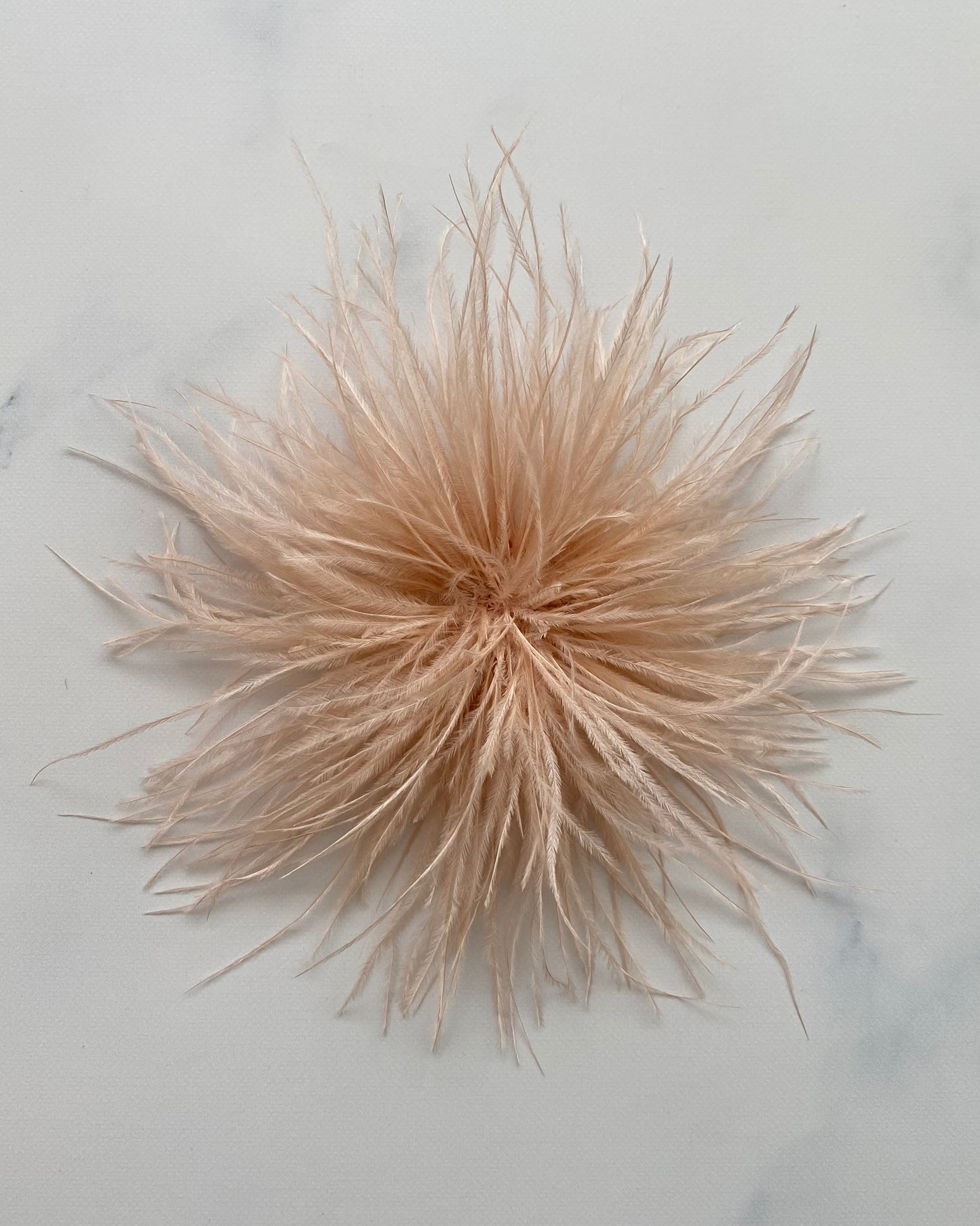 SPILLA PLUMAGE