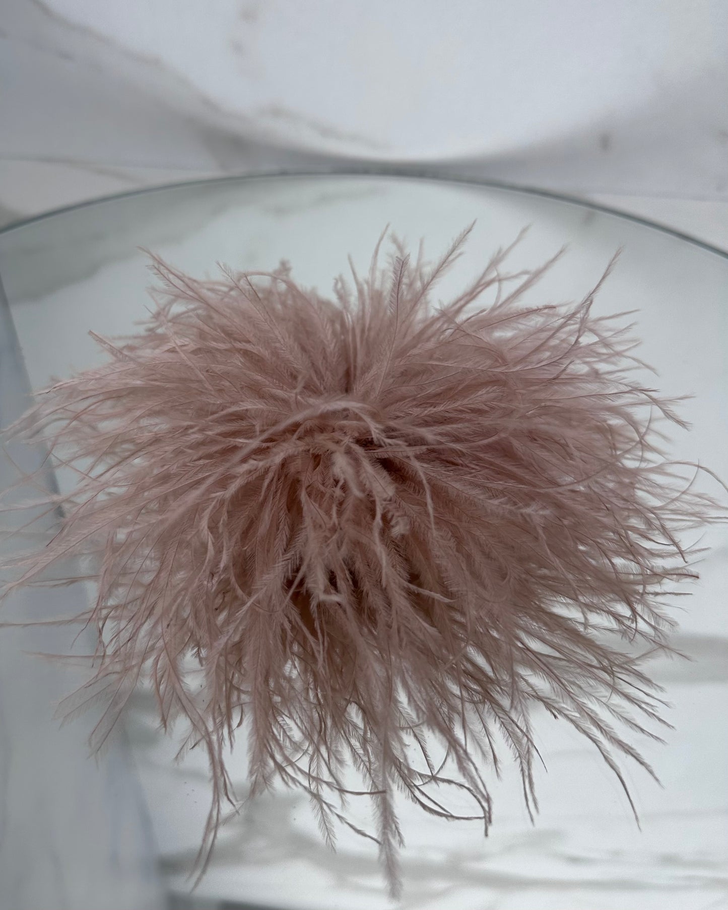 SPILLA PLUMAGE