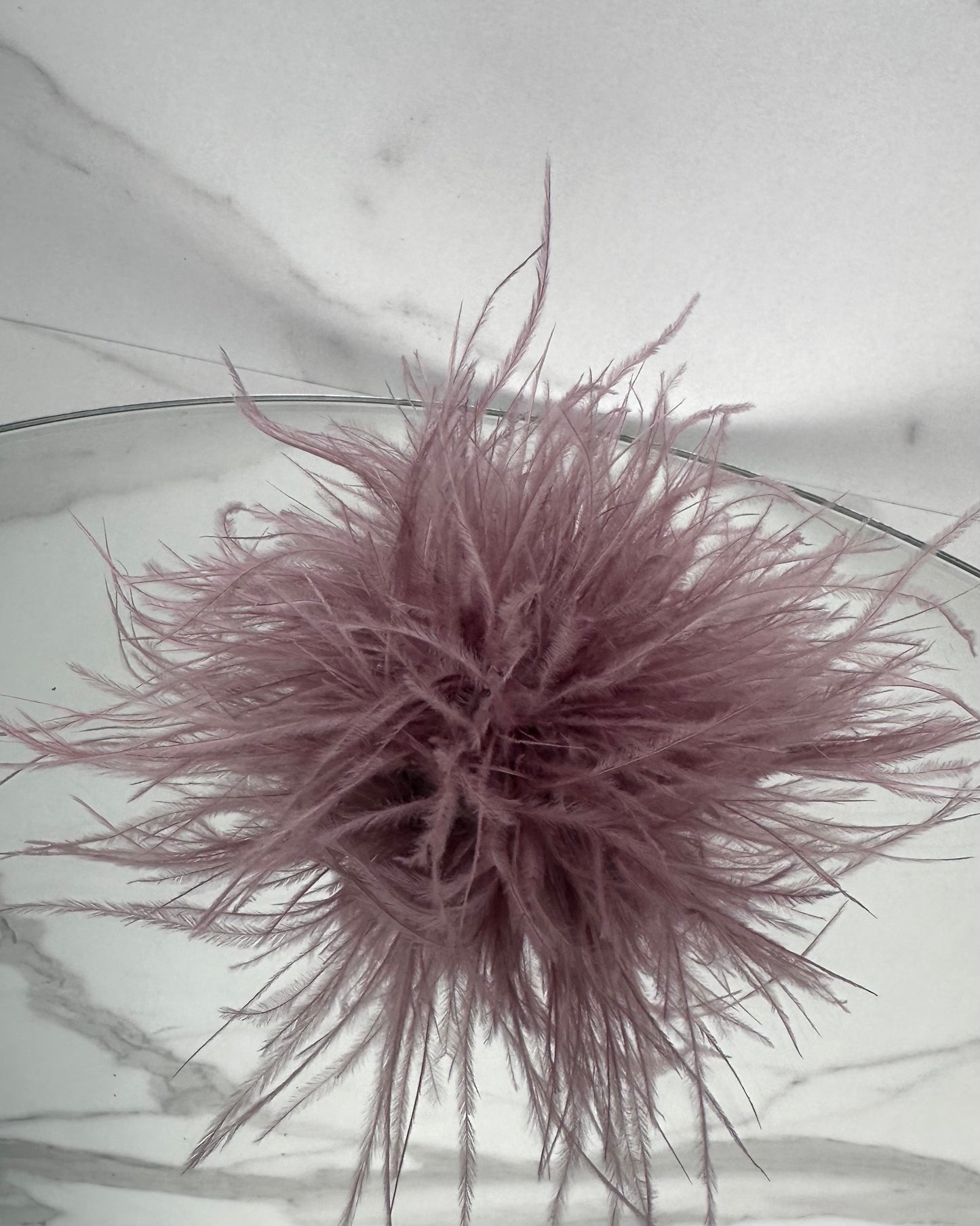 SPILLA PLUMAGE