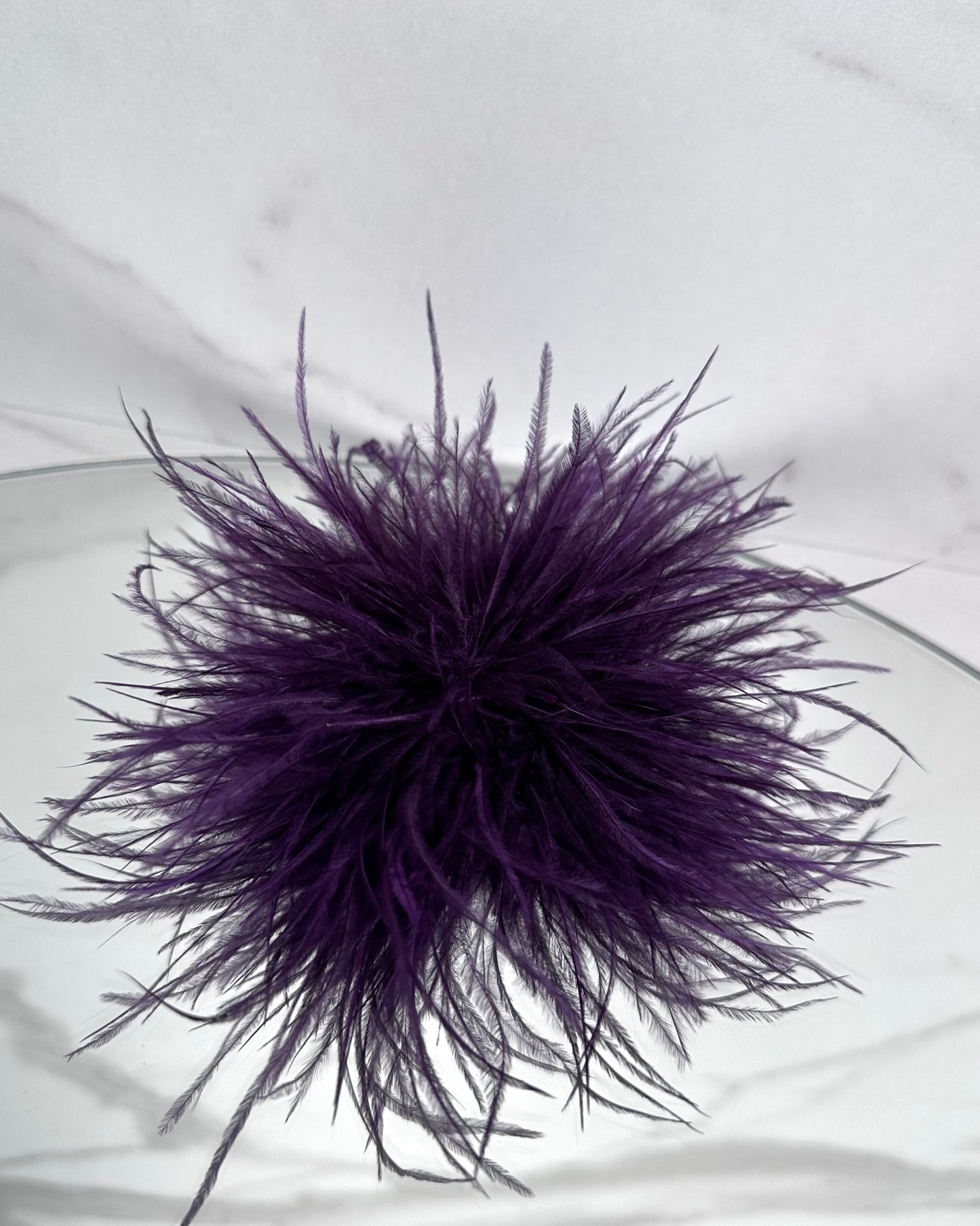 SPILLA PLUMAGE