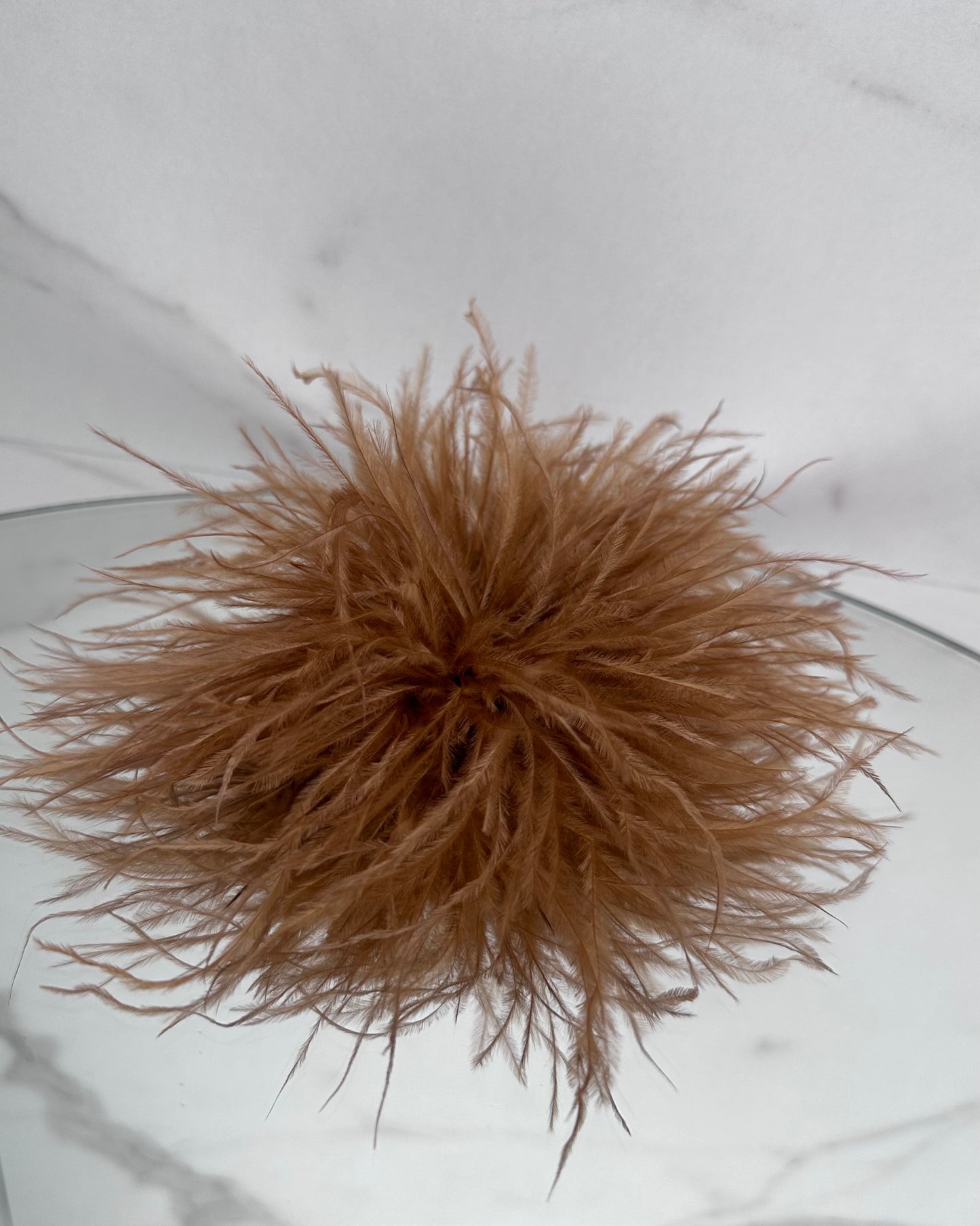 SPILLA PLUMAGE