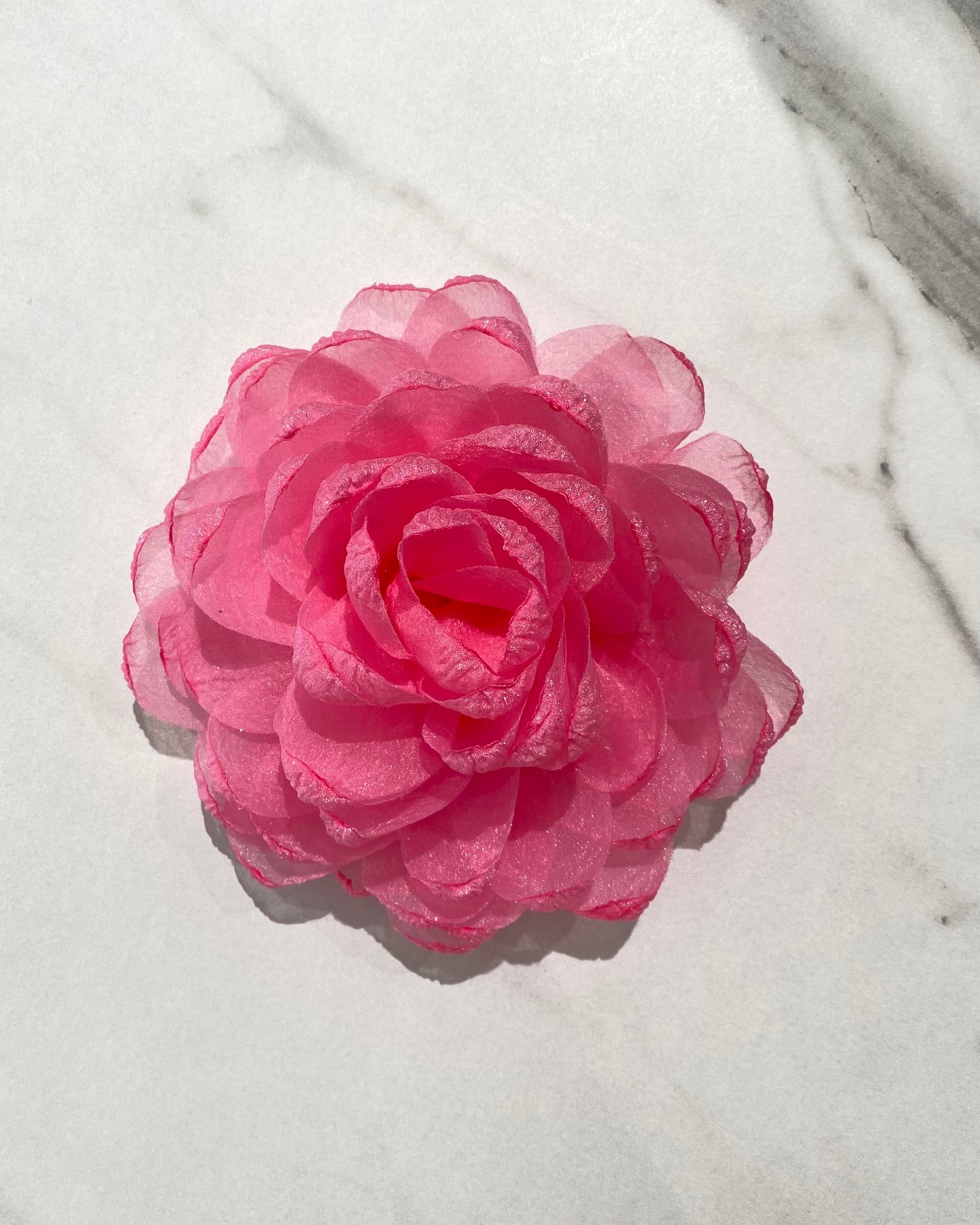 SPILLA CAMELIA