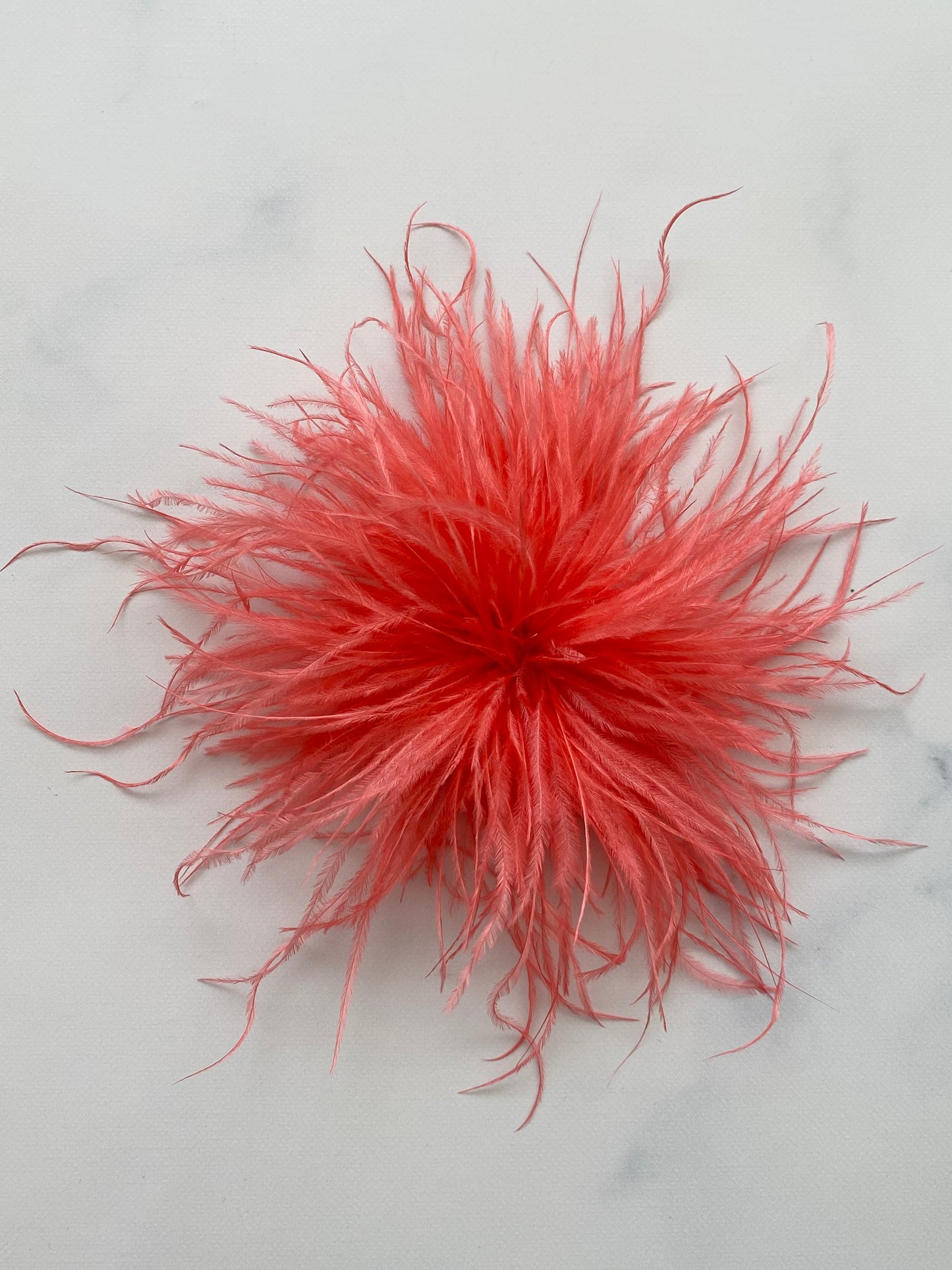 SPILLA PLUMAGE