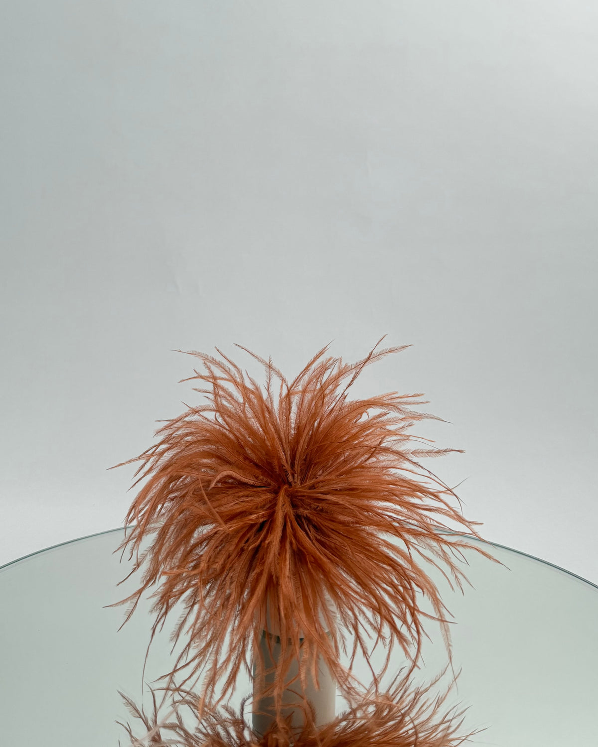 SPILLA PLUMAGE