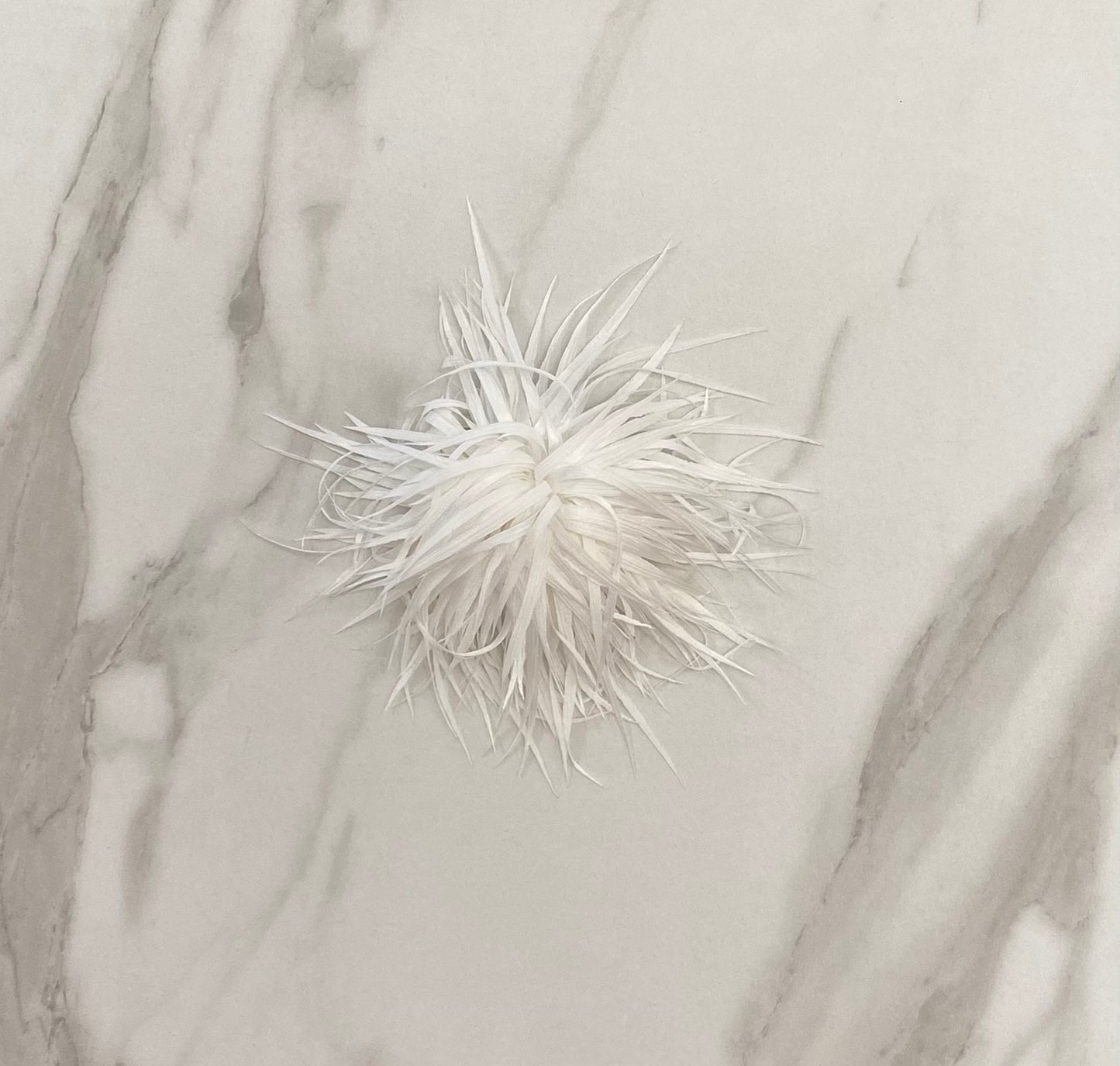 SPILLA CON PETALI LUNGHI