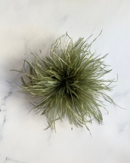 SPILLA PLUMAGE