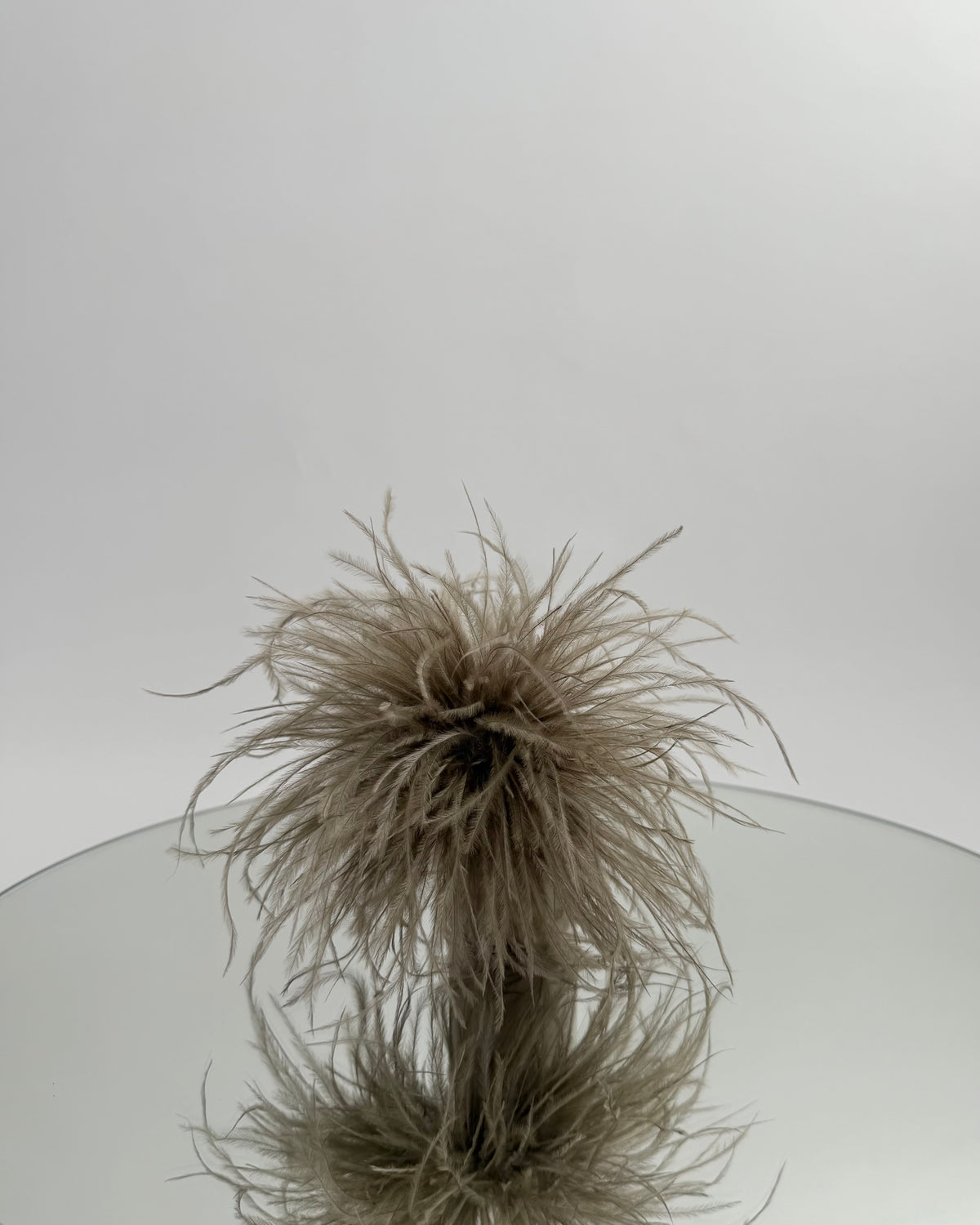 SPILLA PLUMAGE