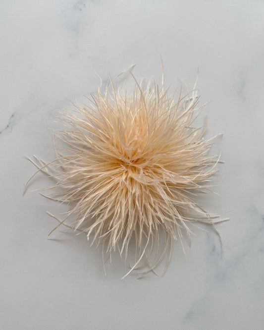 SPILLA PLUMAGE