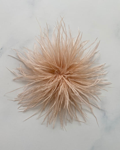 SPILLA PLUMAGE