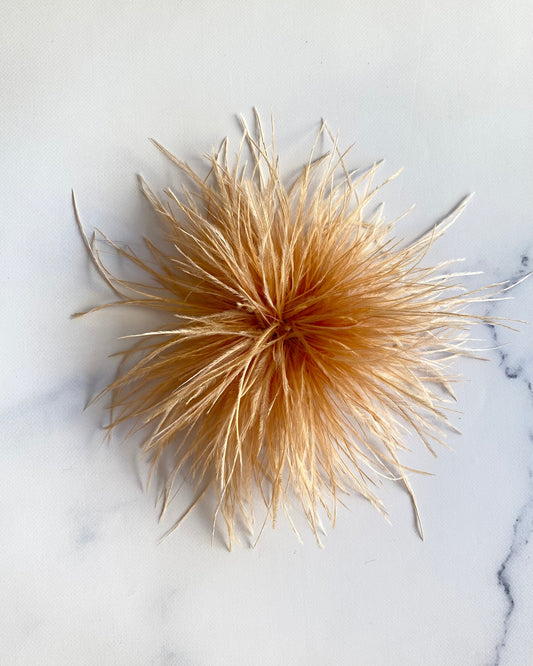 SPILLA PLUMAGE