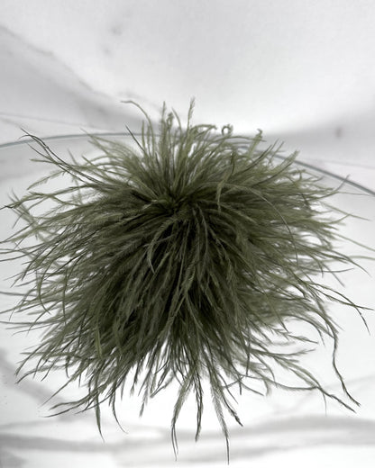 SPILLA PLUMAGE