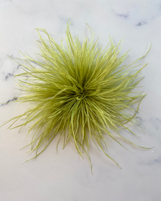 SPILLA PLUMAGE