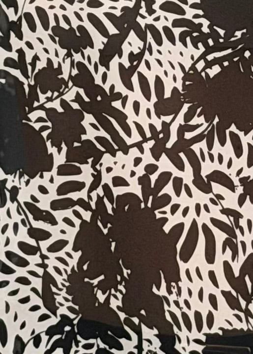60039WF • BLUSA OVER GIORGIA & J.
